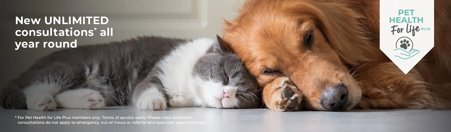 Pet Health for Life Plan | Sandhole Vets
