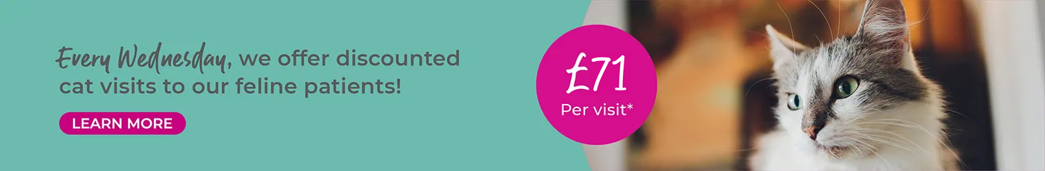 Vets in Kent | Vets Near Me | Sandhole Veterinary Centre