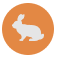 icon rabbit poisons