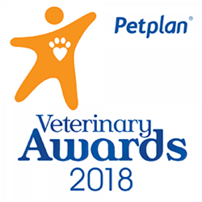 petplan award 2018 850 850 s