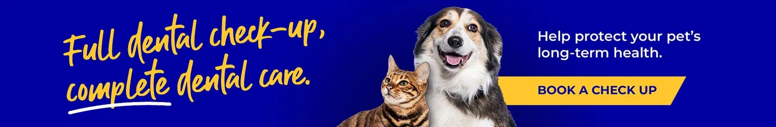 Vets in Kent | Vets Near Me | Sandhole Veterinary Centre