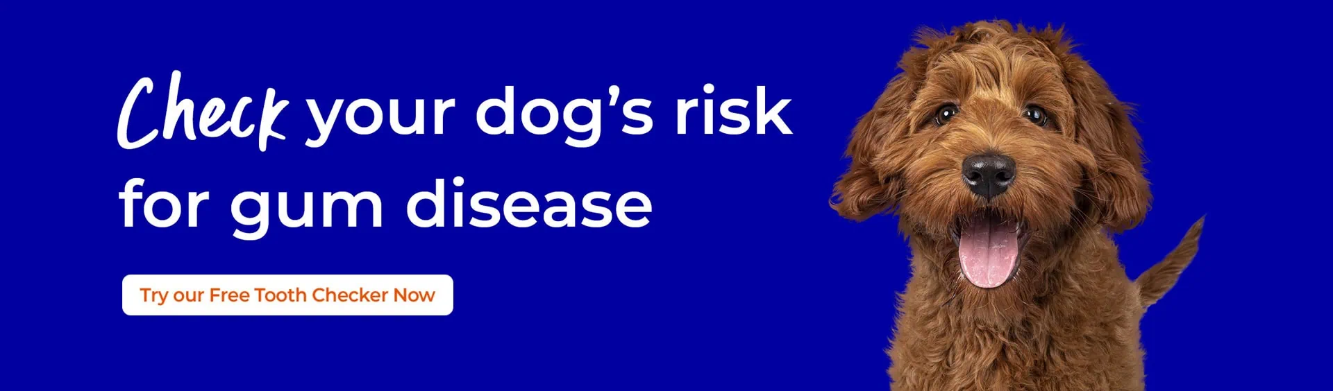 Pet Dental Care | Sandhole Veterinary Centre