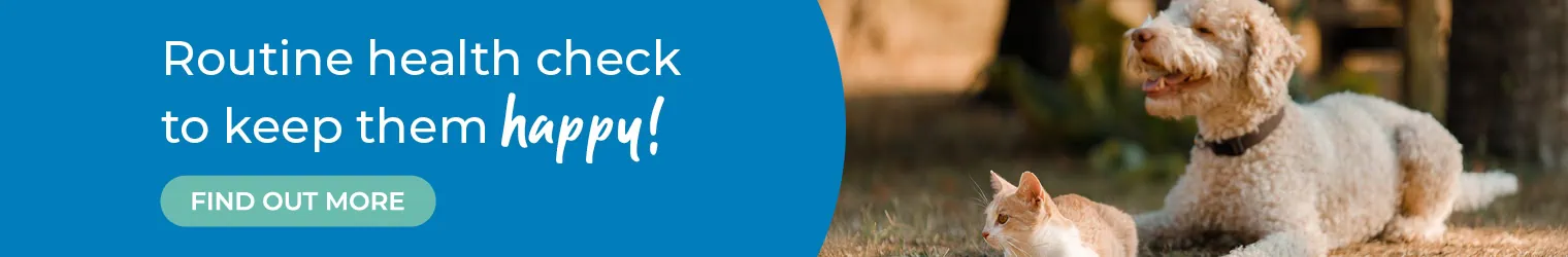 Vets in Kent | Vets Near Me | Sandhole Veterinary Centre