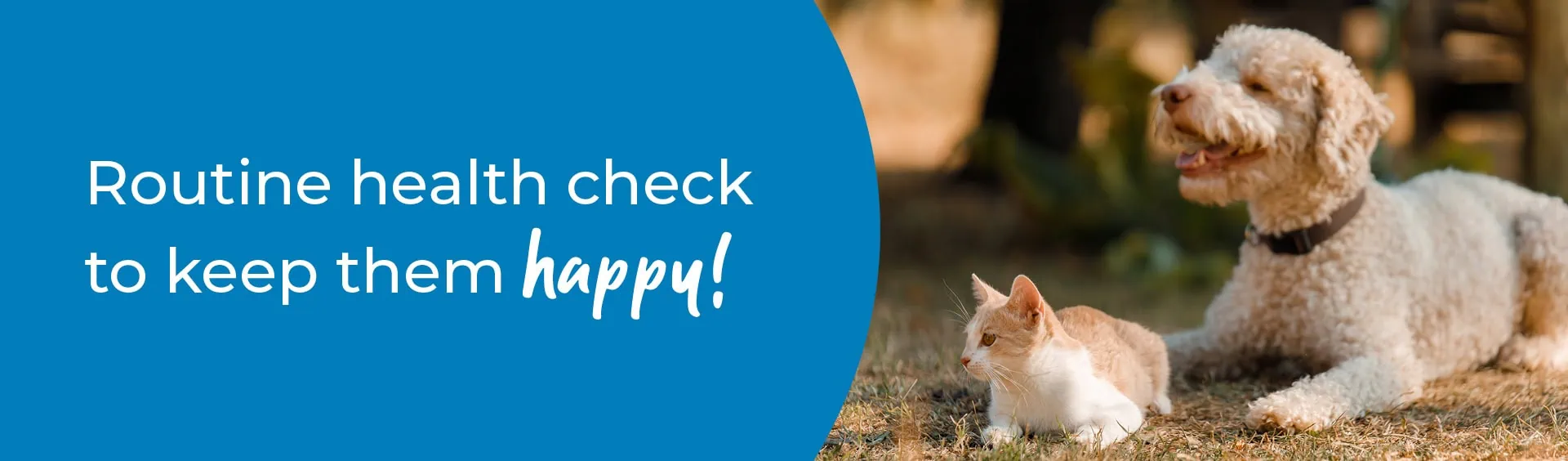 Pet Annual Health Check | Pet Health Care | Sandhole Vets