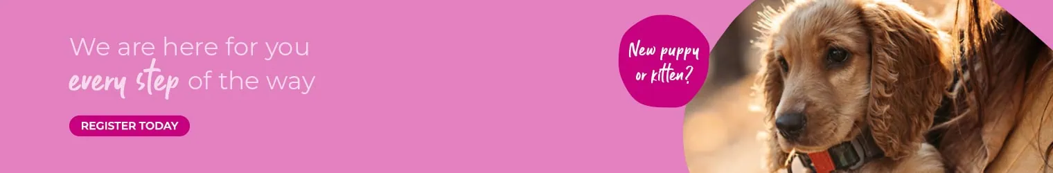 Vets in Kent | Vets Near Me | Sandhole Veterinary Centre