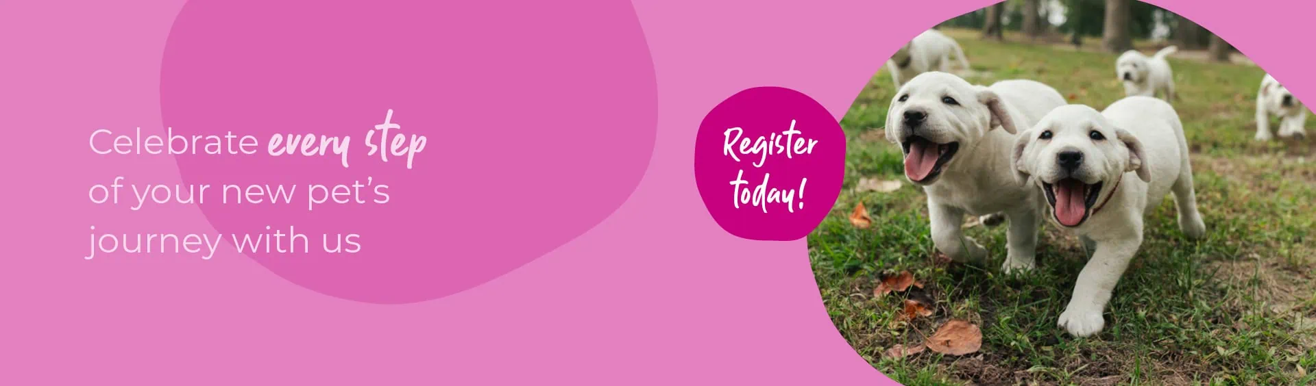 Start of Life for Your Puppy or Kitten | Sandhole Vets