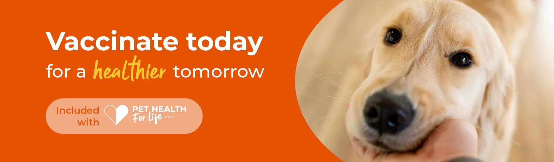 Pet Vaccinations | Sandhole Veterinary Centre