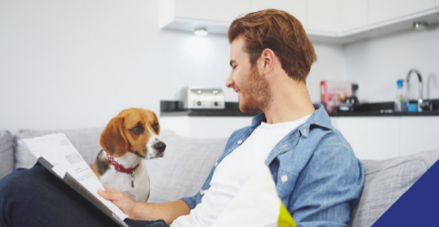 The importance of pet insurance