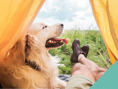 Camping with your dog