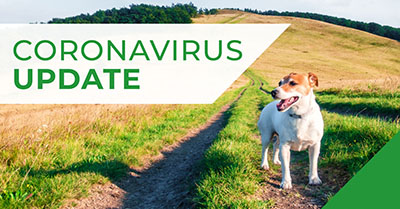 Sandhole Vets COVID-19 (Coronavirus) update 